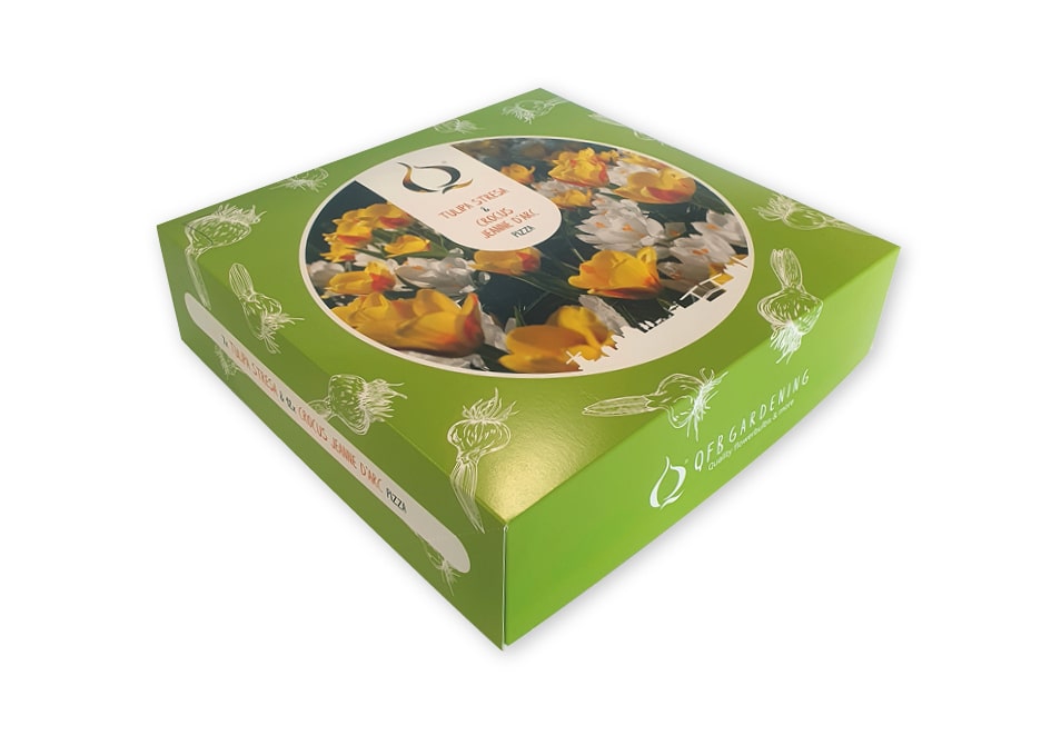 Vierkante doos voor taart of gebak of bloembollen met los deksel in full color bedrukt met logo en foto geschikt 280x280x75 mm